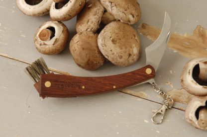 Mushroom knife