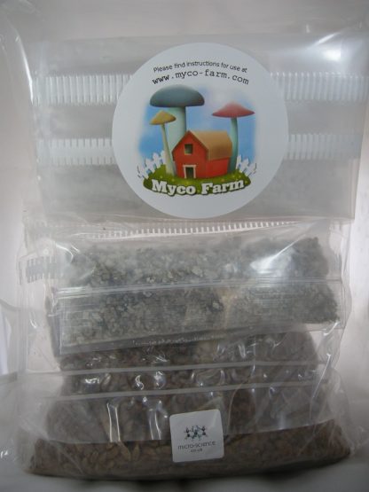 MycoFarm mushroom growing kit
