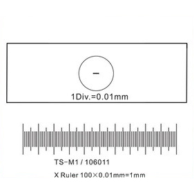Stage micrometer