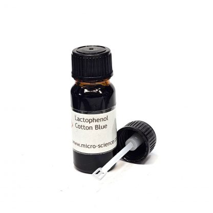 Lactophenol Cotton Blue - 10mL