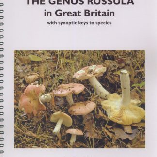 Russulas in Great Britain