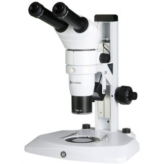 Microscope hire - Stereomicroscope - Kathryn Gebhardt
